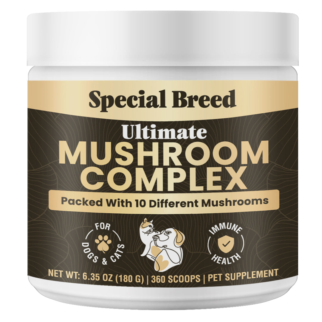 Mushroom Complex For Dogs & Cat 180g
