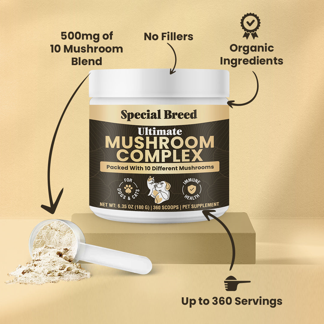 Mushroom Complex For Dogs & Cat 180g