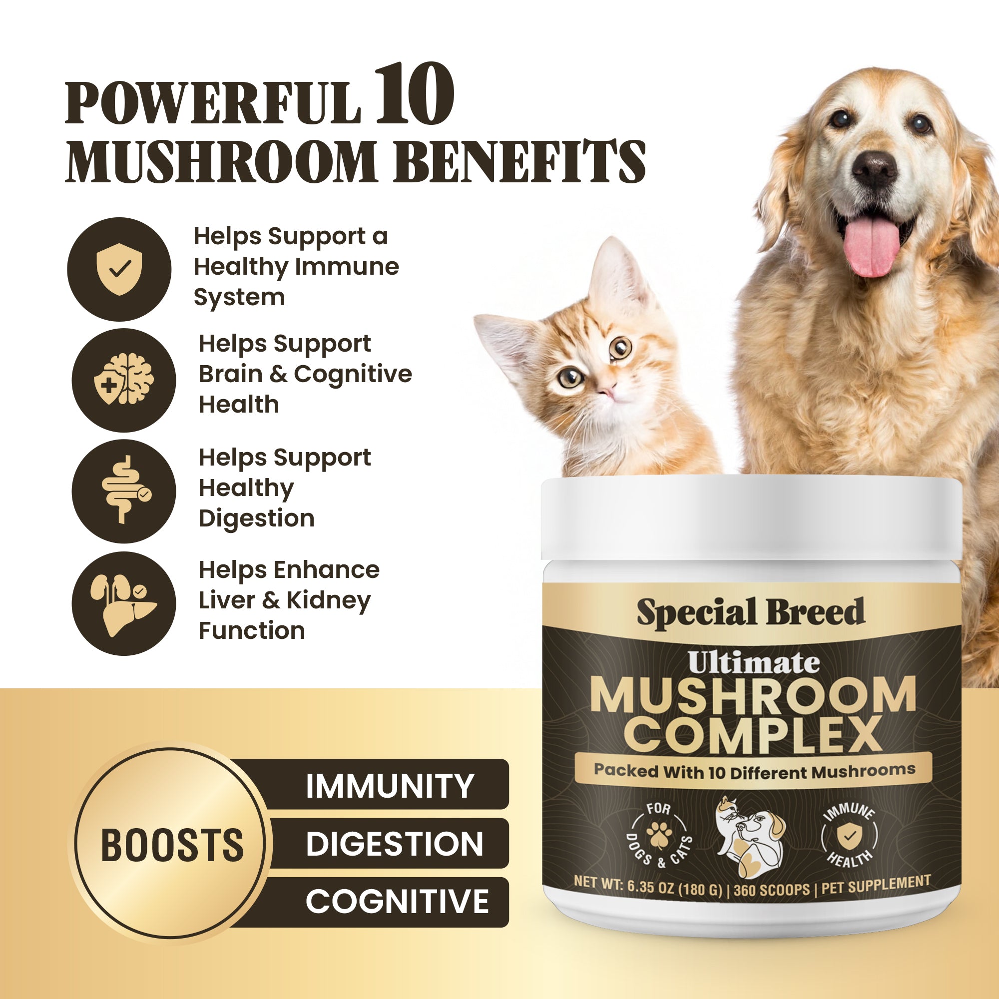 Mushroom Complex For Dogs & Cat 180g