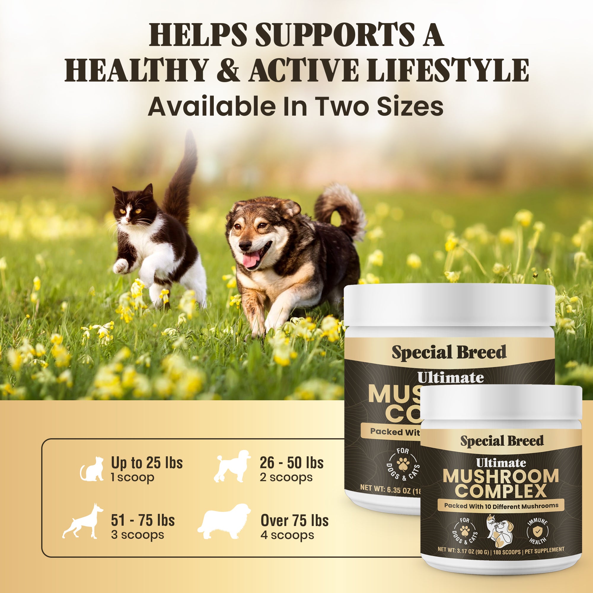 Mushroom Complex For Dogs & Cat 180g