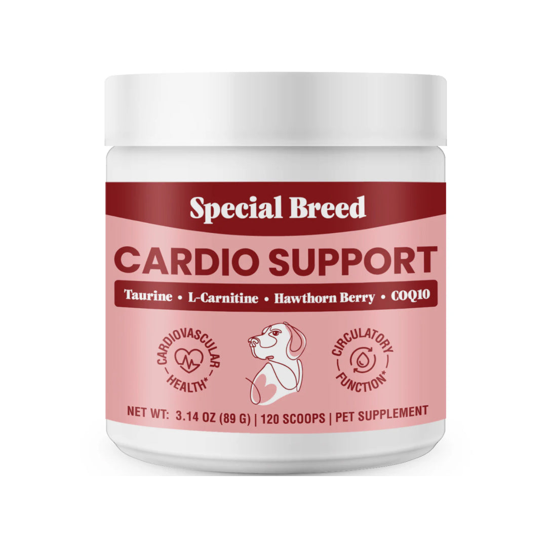 para que sirve la l carnitina liquida L-Carnitina (1L) para que sirve la l carnitina liquida L-Carnitina (1L)