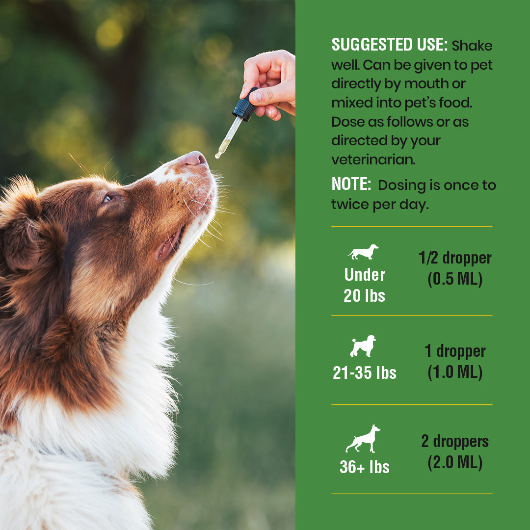 DEWO With Probiotics 2oz Liquid