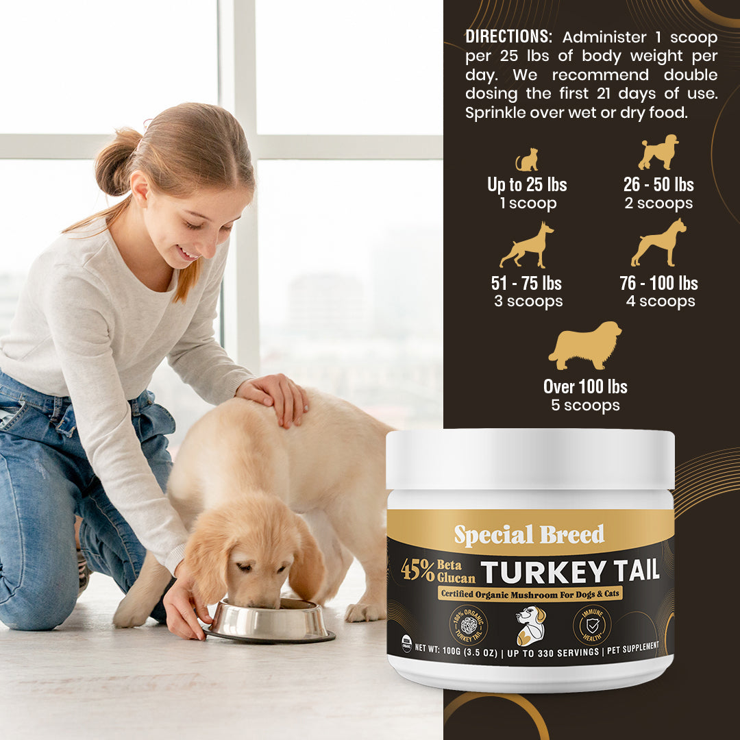USDA Organic 45% Beta Glucan Turkey Tail Powder - 3.5oz
