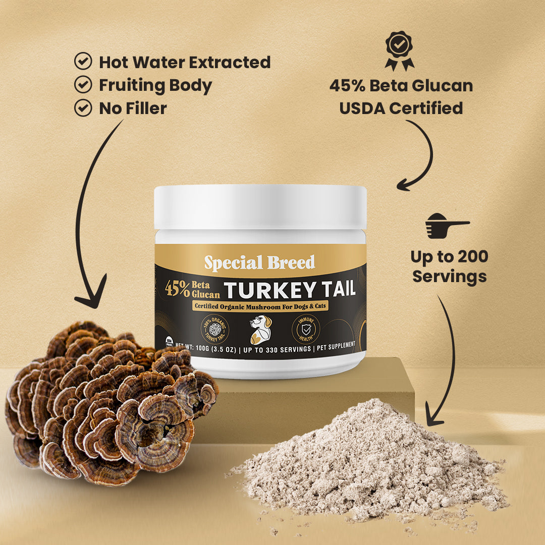 USDA Organic 45% Beta Glucan Turkey Tail Powder - 3.5oz