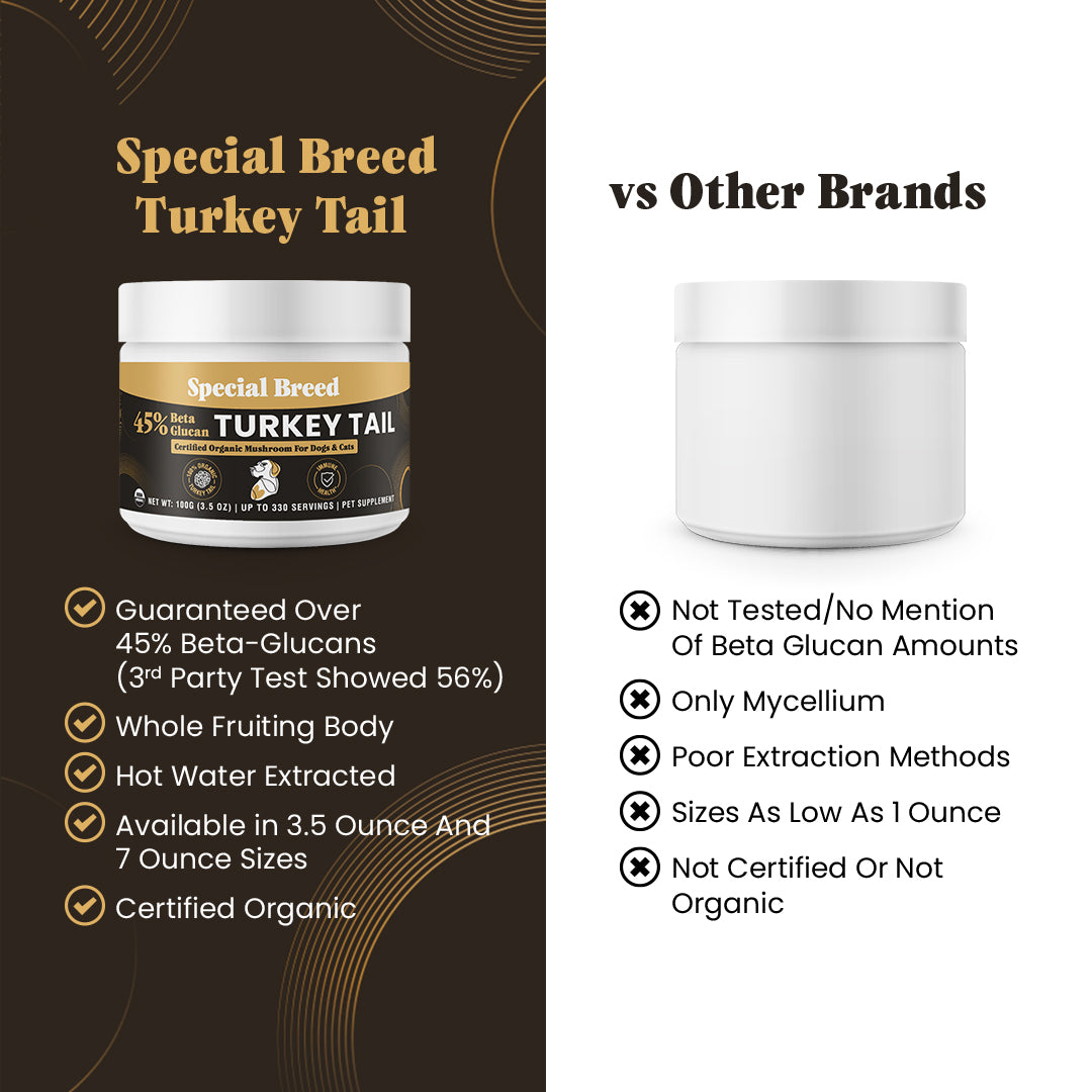 USDA Organic 45% Beta Glucan Turkey Tail Powder - 3.5oz