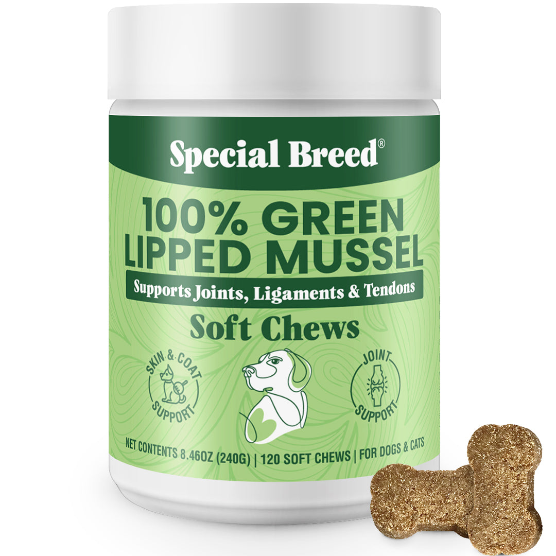 Green Lipped Mussel Soft Chews - 120 Chews