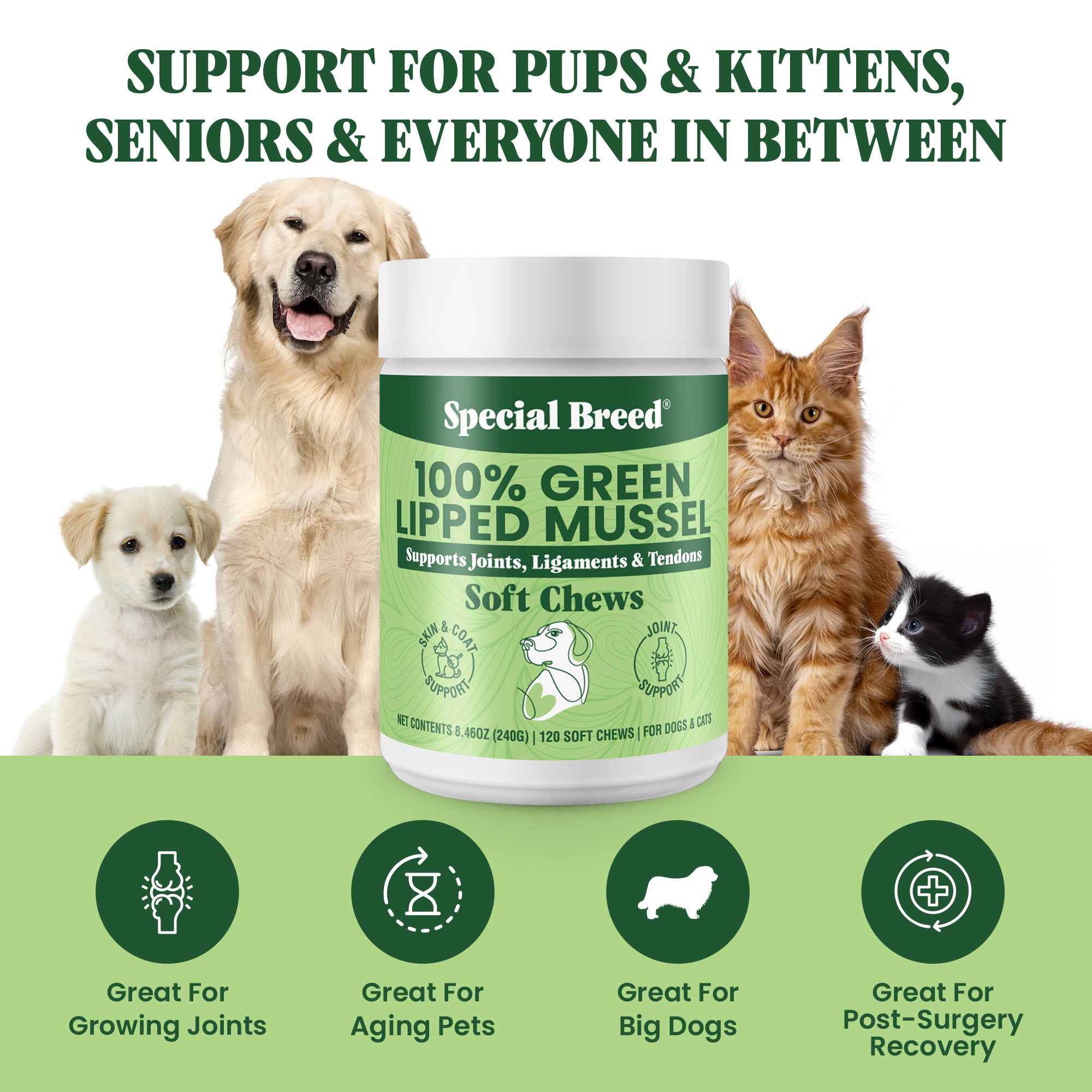 Green Lipped Mussel Soft Chews - 120 Chews