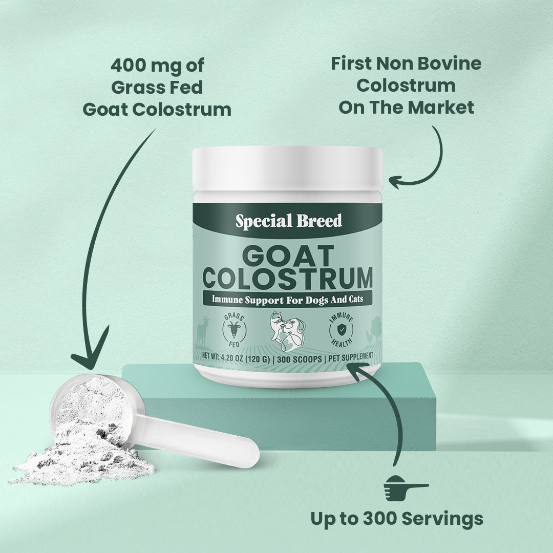 Goat Colostrum 120 Grams