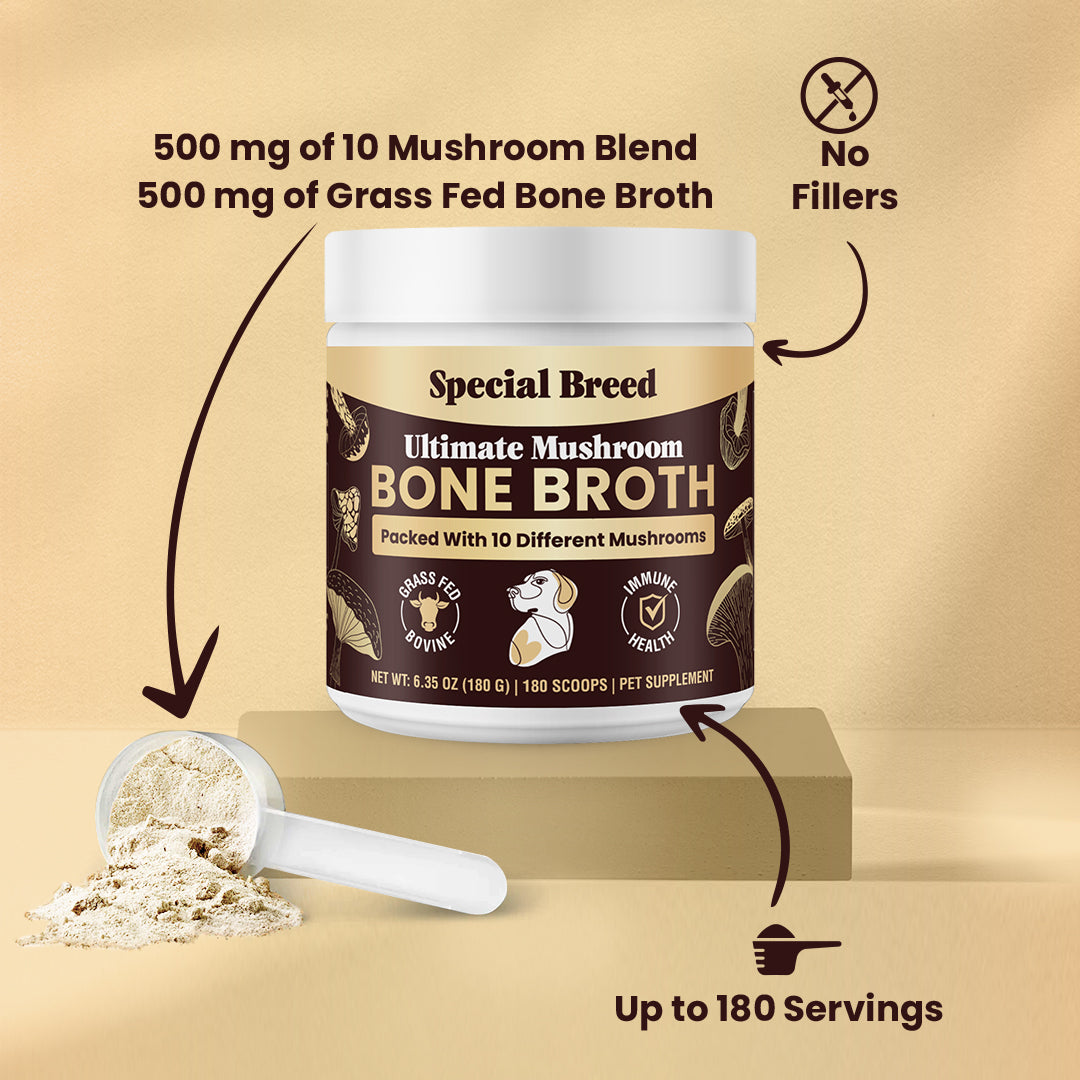 Mushroom Bone Broth For Dogs 180g