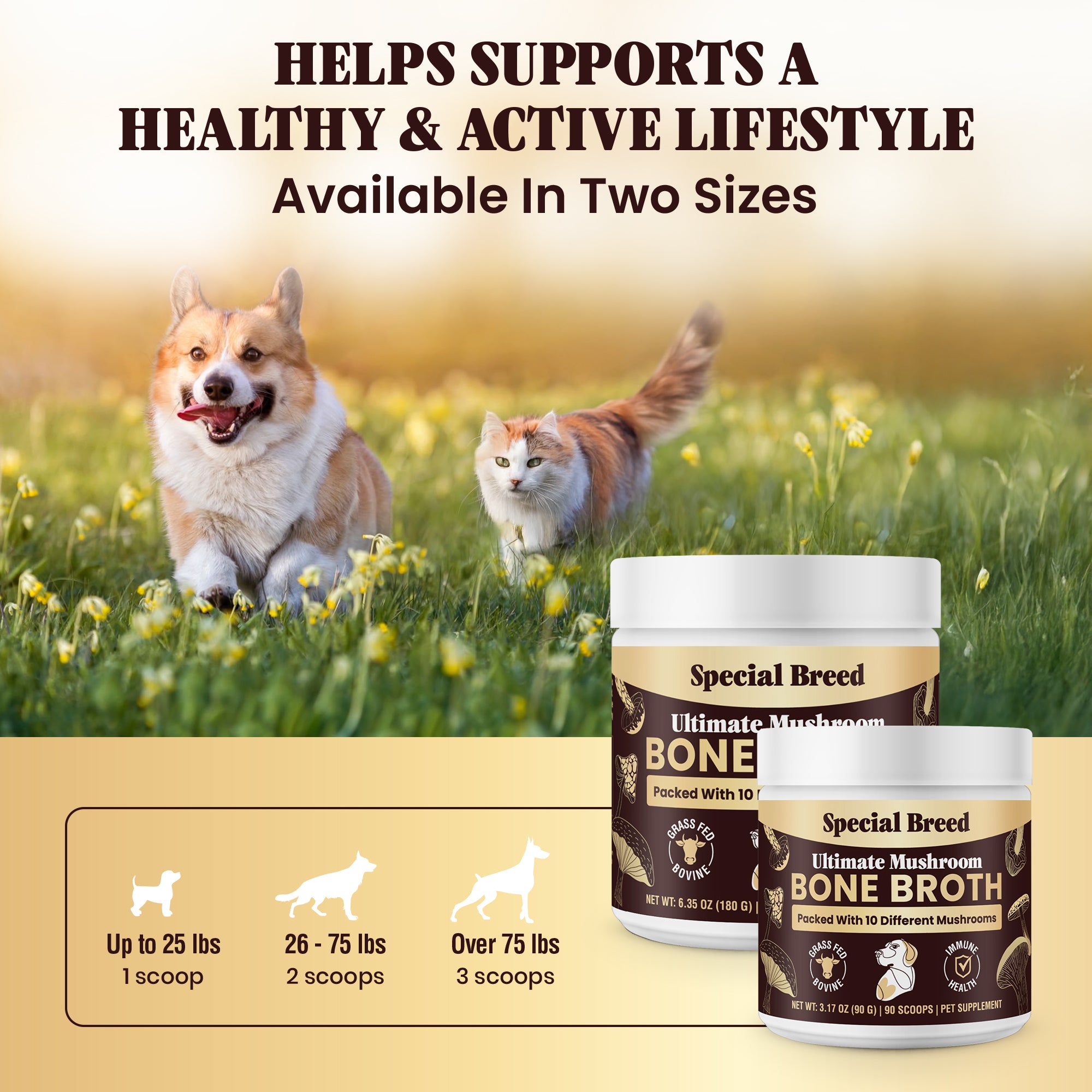 Mushroom Bone Broth For Dogs 180g