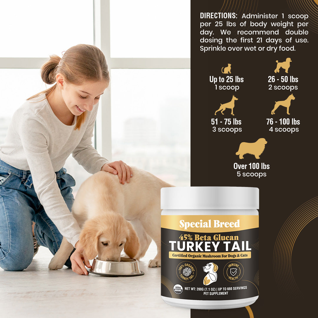 USDA Organic 45% Beta Glucan Turkey Tail Powder - 7oz