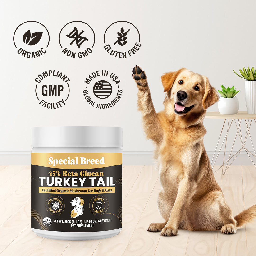 USDA Organic 45% Beta Glucan Turkey Tail Powder - 7oz