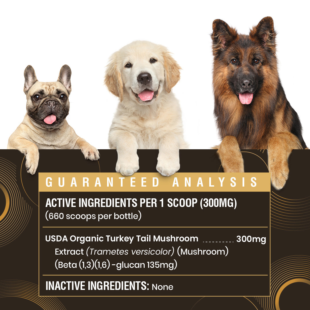 USDA Organic 45% Beta Glucan Turkey Tail Powder - 7oz