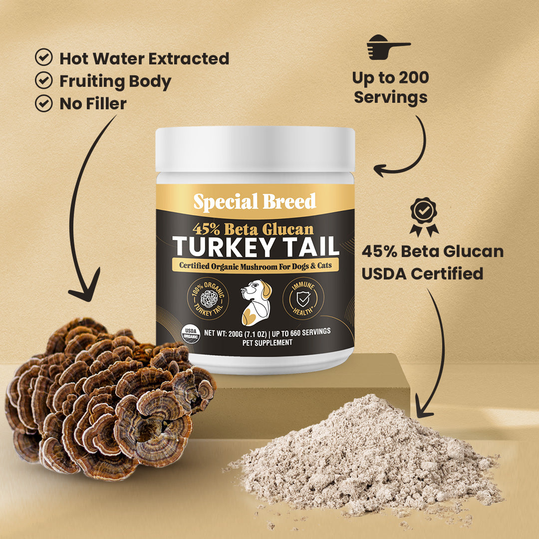 USDA Organic 45% Beta Glucan Turkey Tail Powder - 7oz