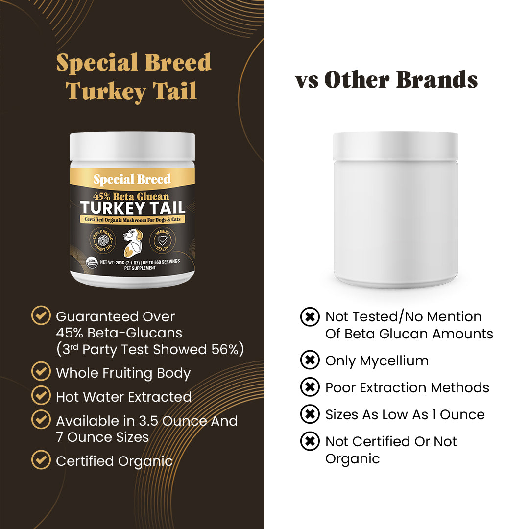 USDA Organic 45% Beta Glucan Turkey Tail Powder - 7oz