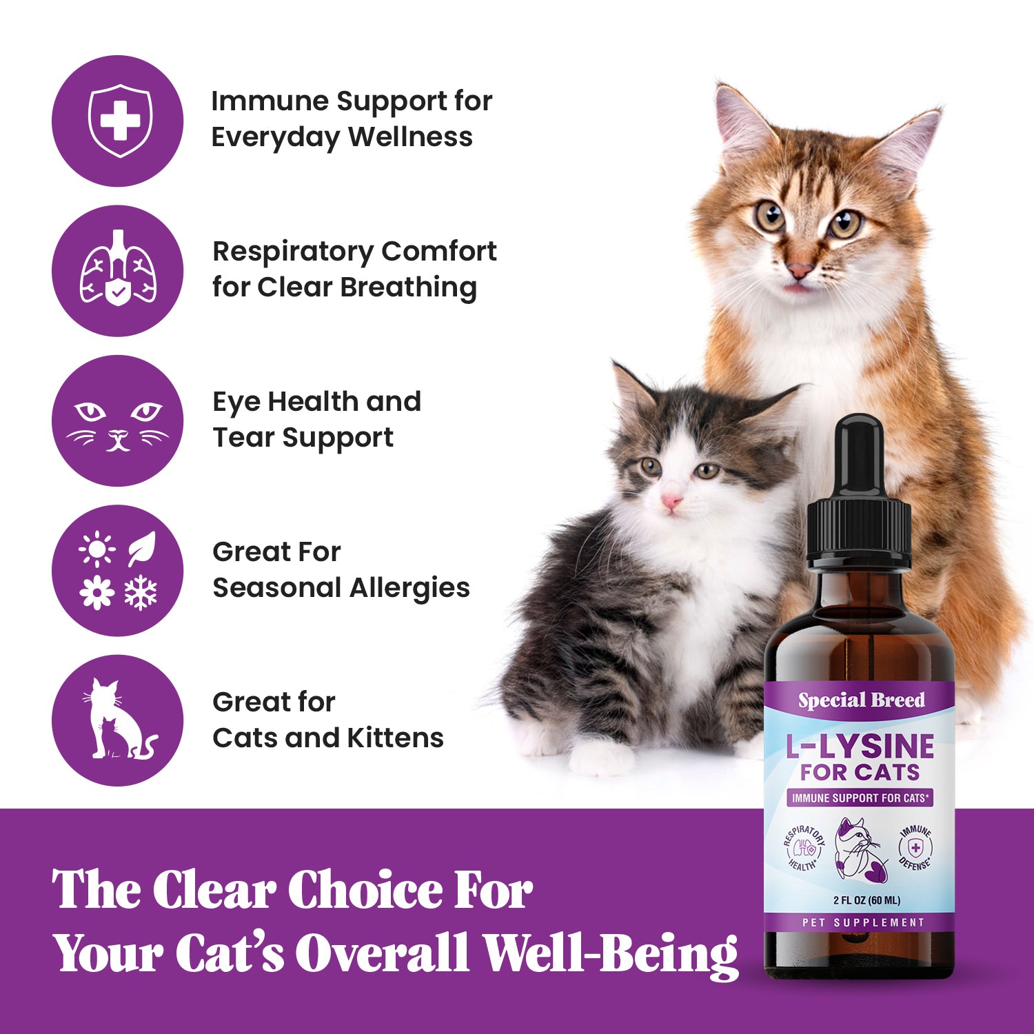 Lysine 2oz