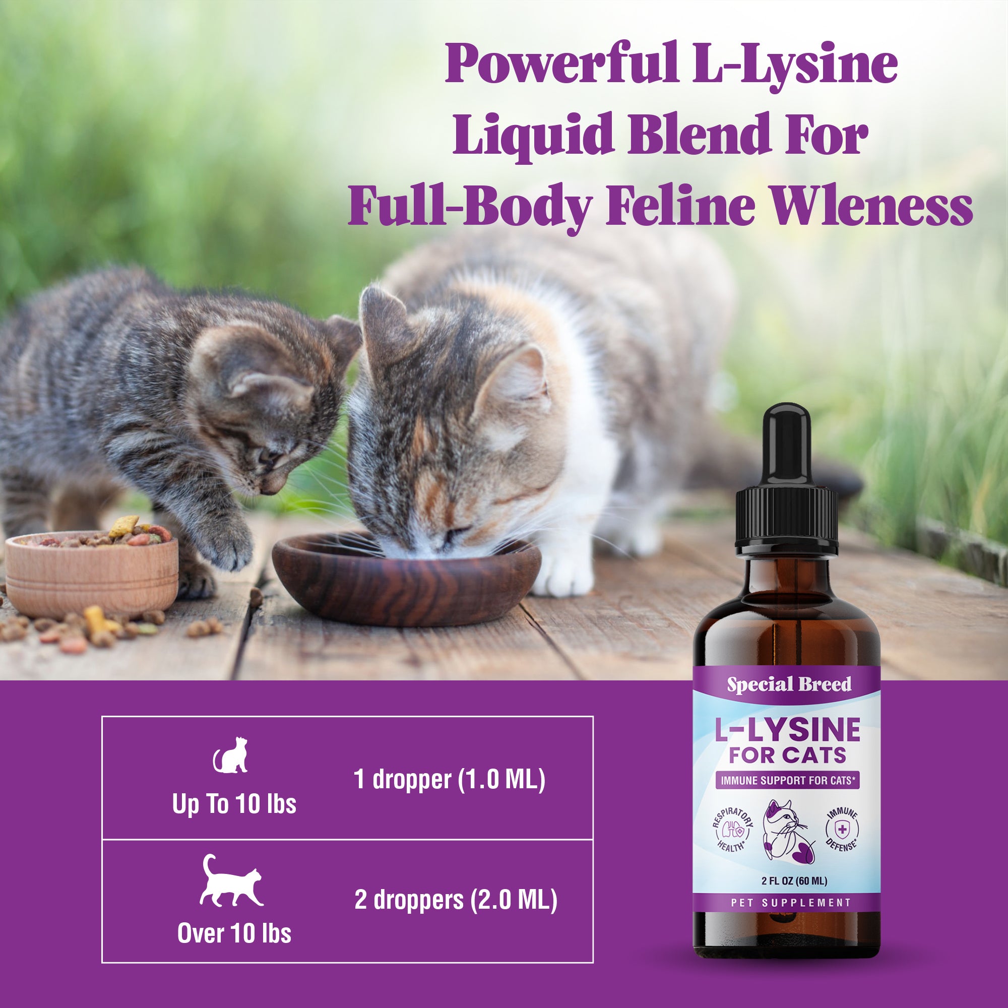 Lysine 2oz
