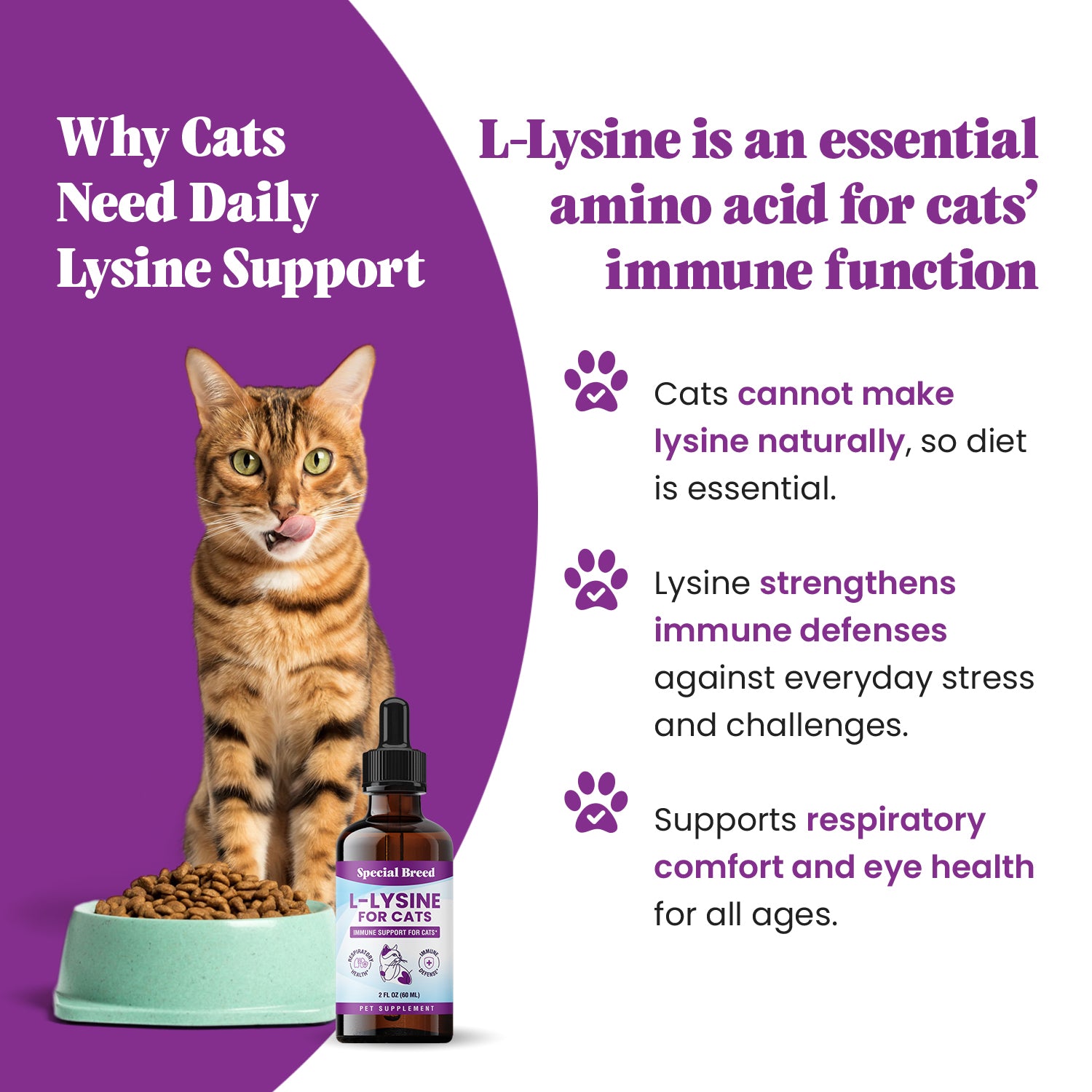 Lysine 2oz