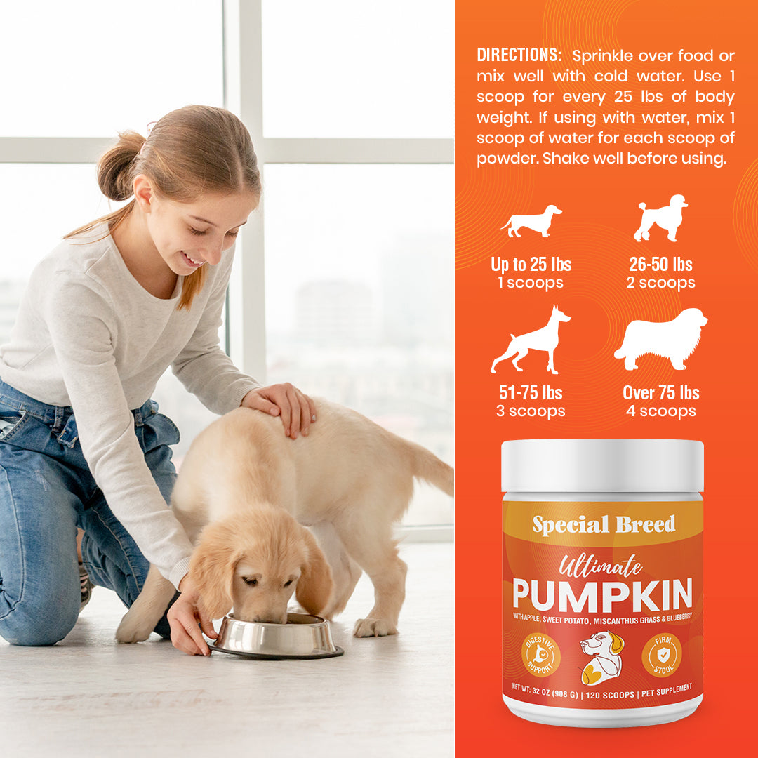 Ultimate Pumpkin 32oz