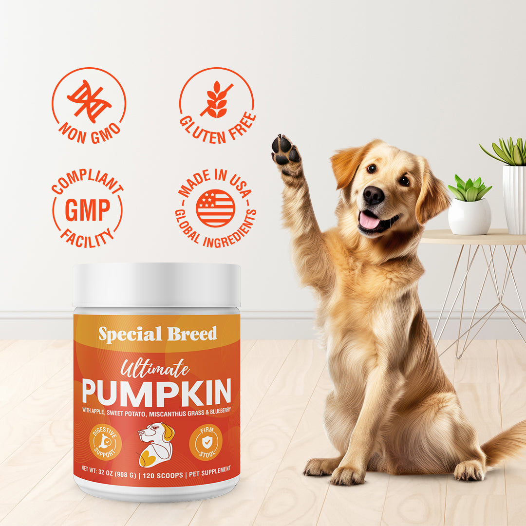 Ultimate Pumpkin 32oz