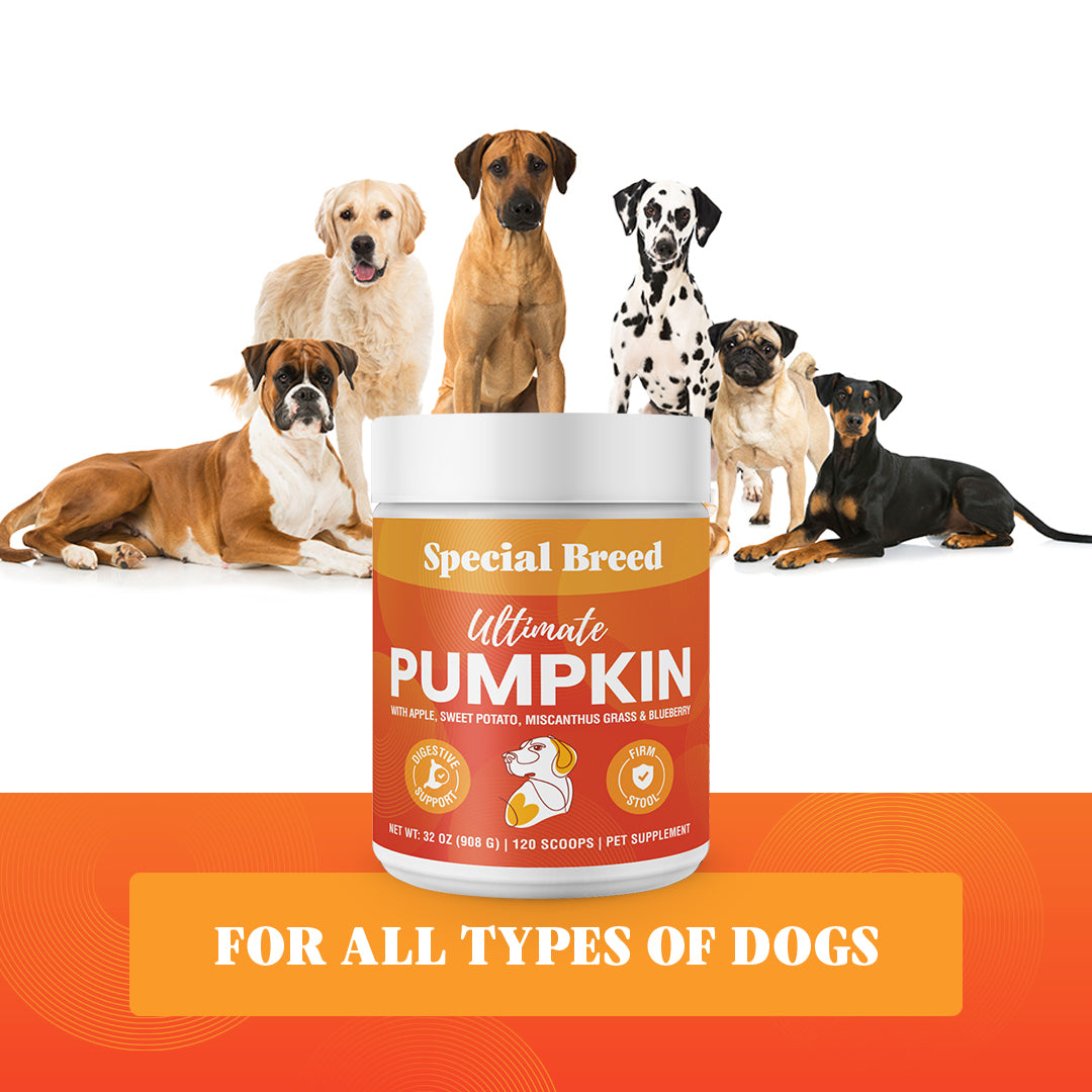 Ultimate Pumpkin 32oz