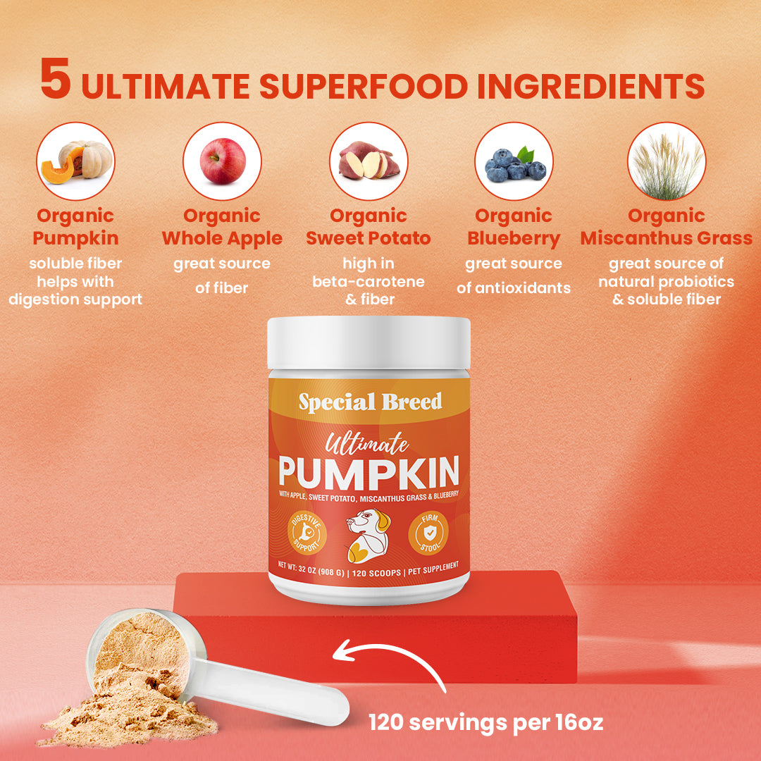 Ultimate Pumpkin 32oz