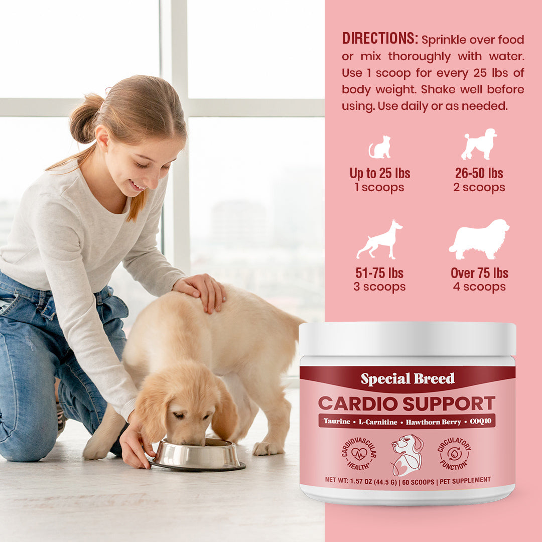 Cardio Support 60 Servings