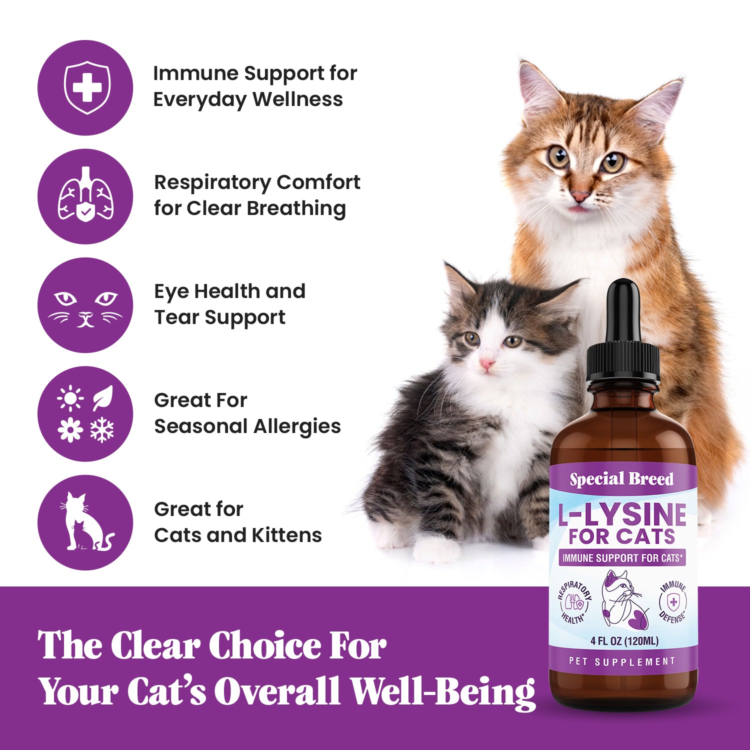 Lysine 4oz