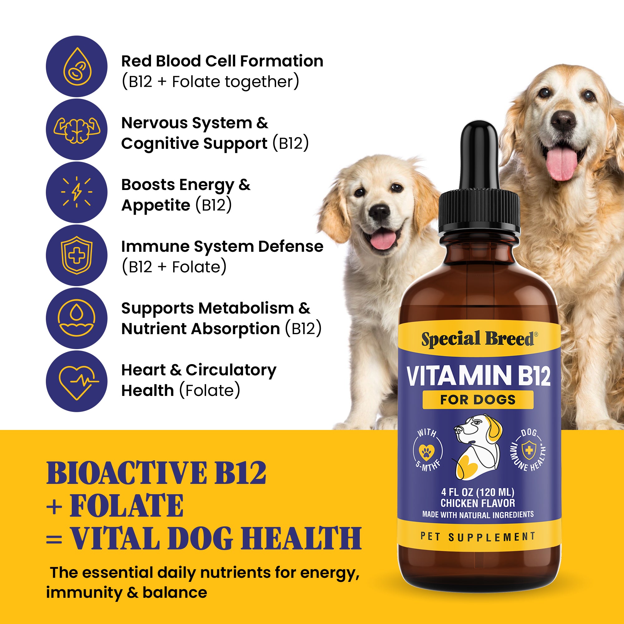 Special Breed Immune Support Chicken Flavored Liquid Vitamins for Dogs, 4-fl oz