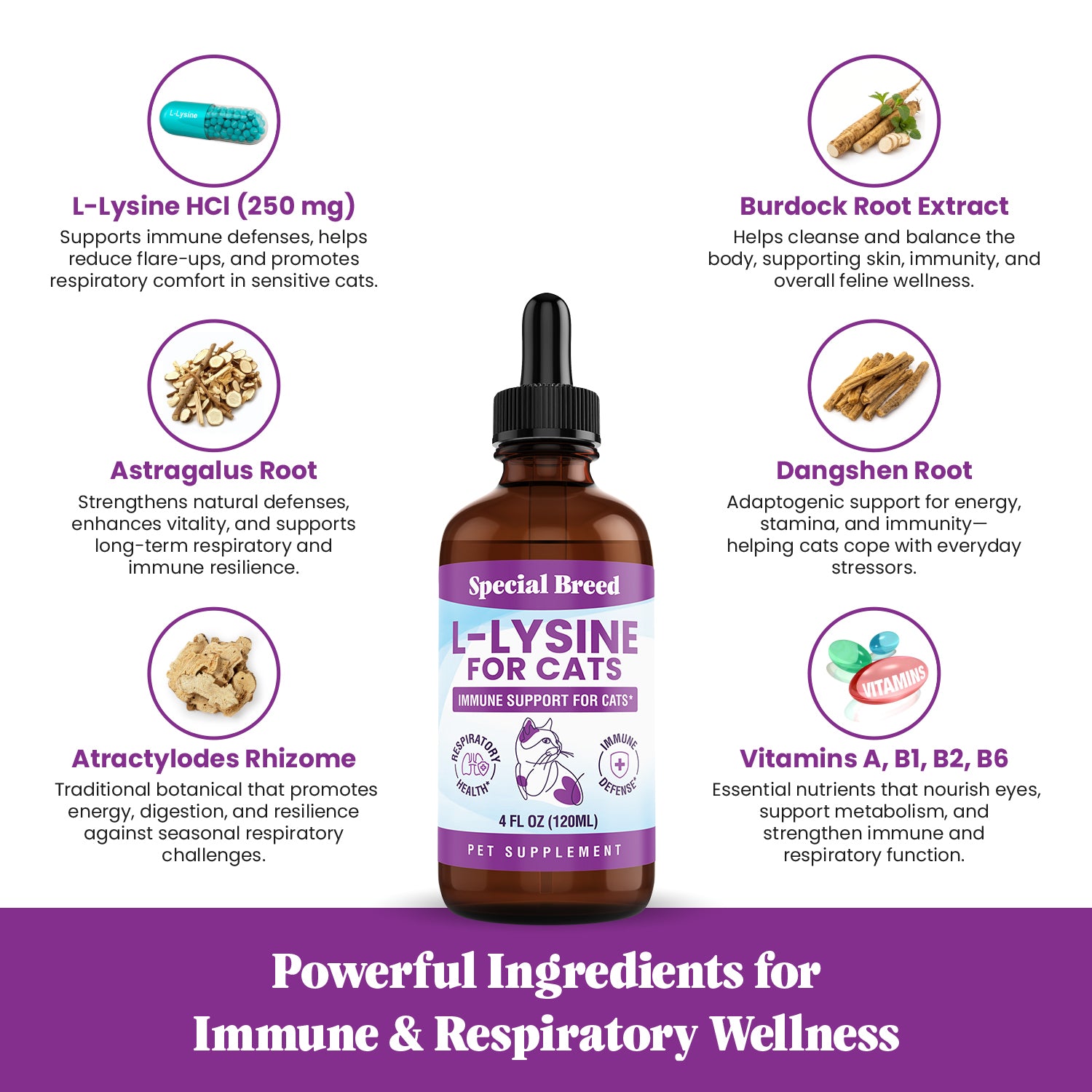 Lysine 4oz