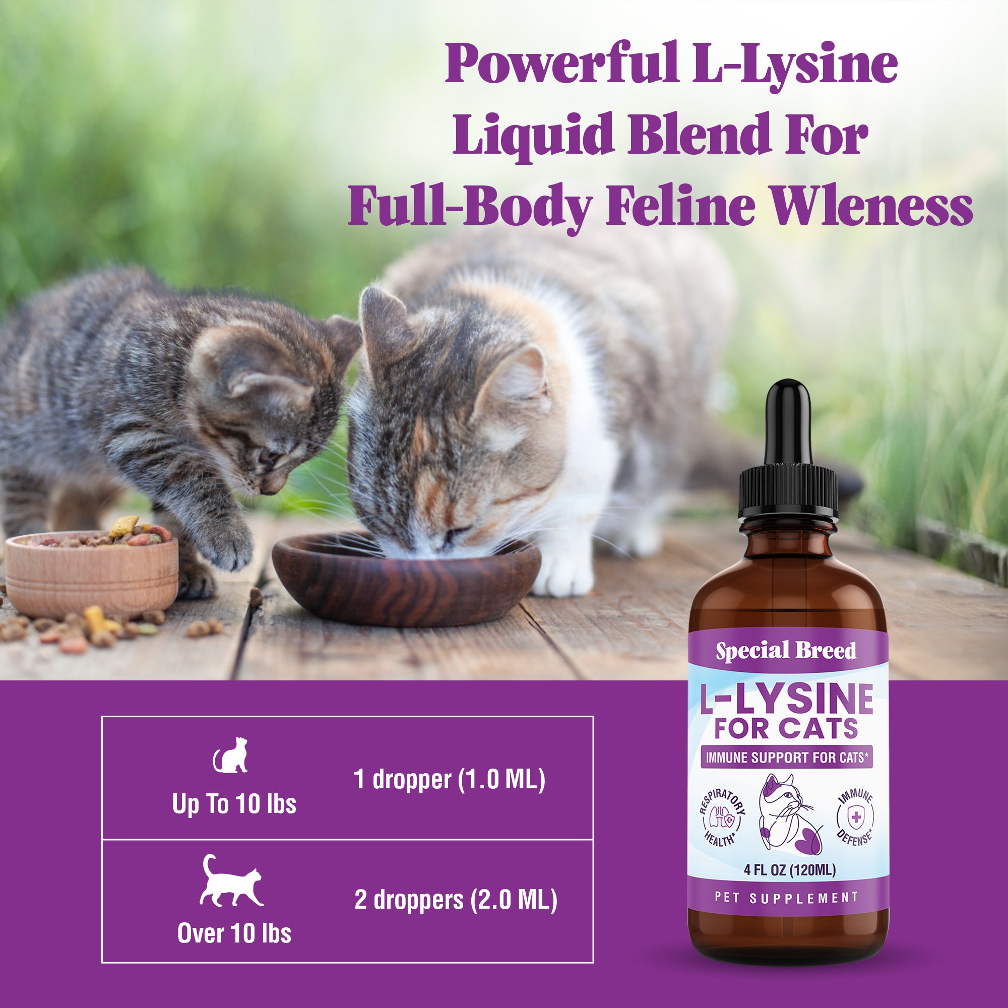 Lysine 4oz