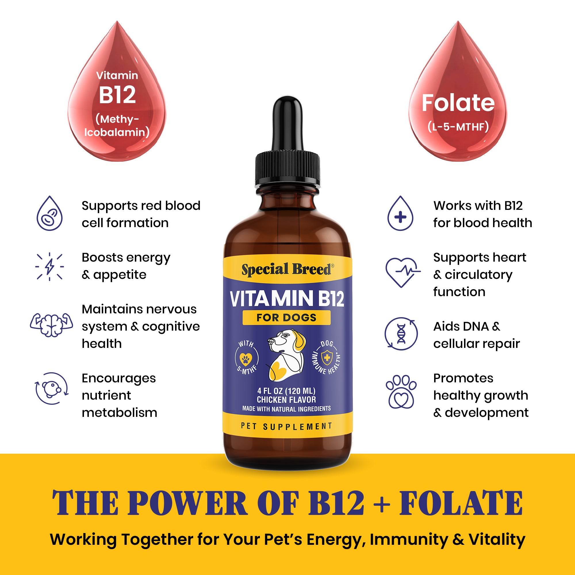 Vitamin B12 For Dogs 4oz