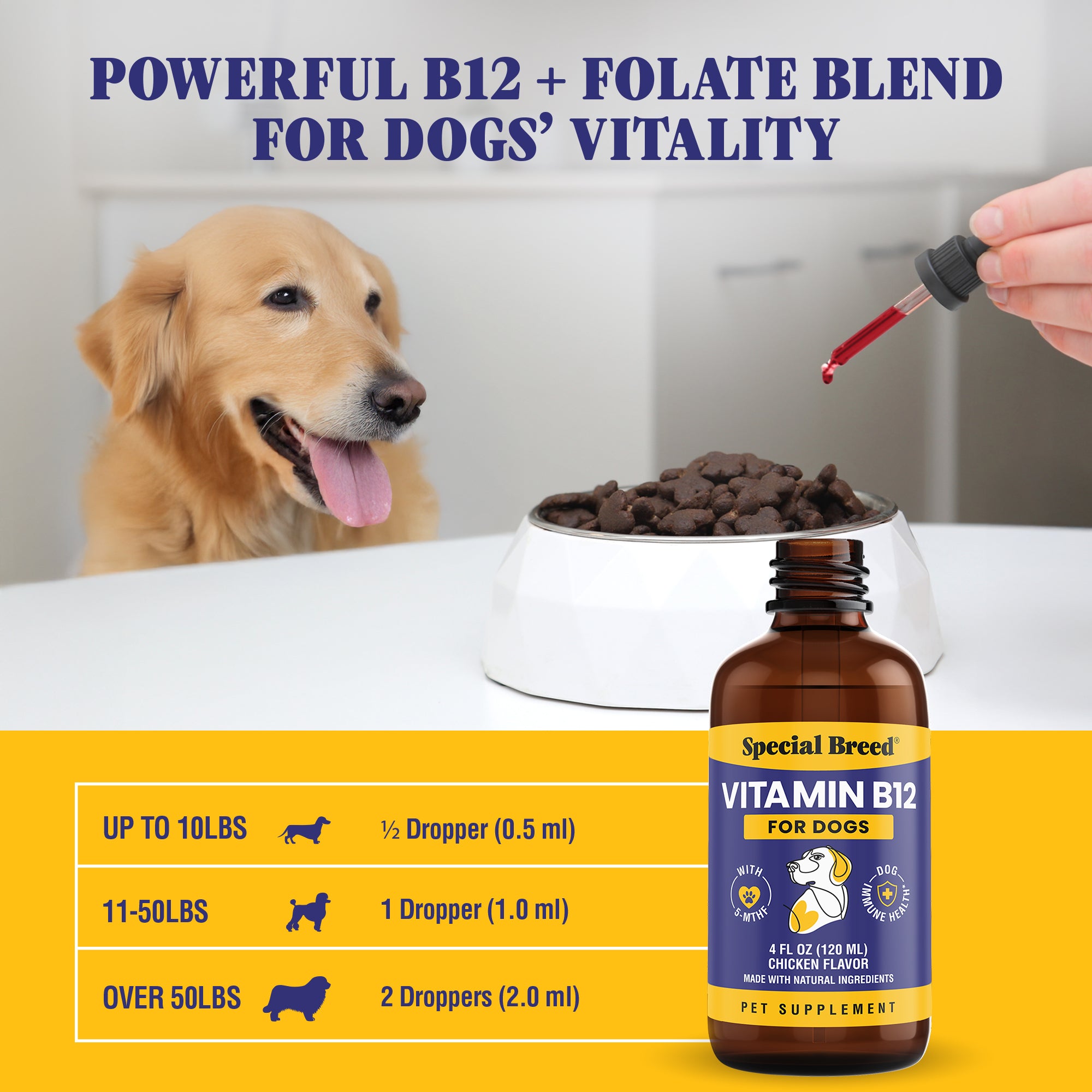 Special Breed Immune Support Chicken Flavored Liquid Vitamins for Dogs, 4-fl oz