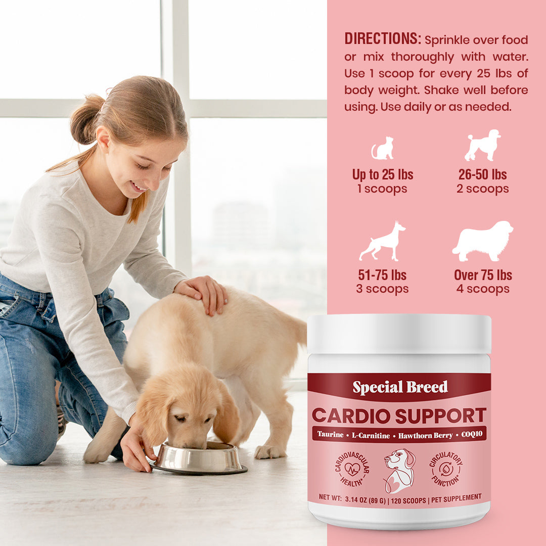 acetyl l carnitine dosage reddit acetyl l-carnitine benefits L-Carnitine Benefits, Uses, Dosage, Foods, Side Effects acetyl l carnitine dosage reddit acetyl l-carnitine benefits L-Carnitine Benefits, Uses, Dosage, Foods, Side Effects