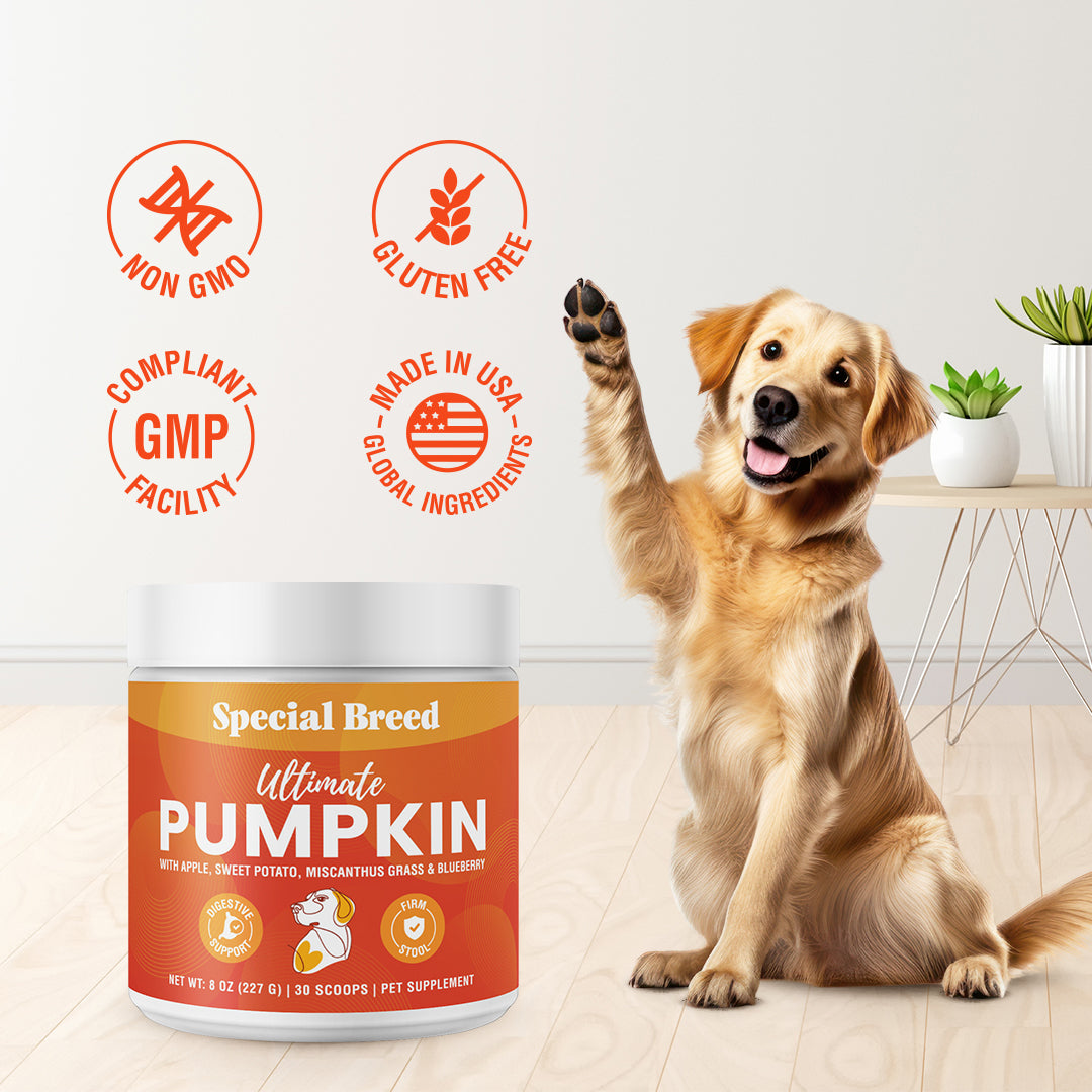 Ultimate Pumpkin 8oz
