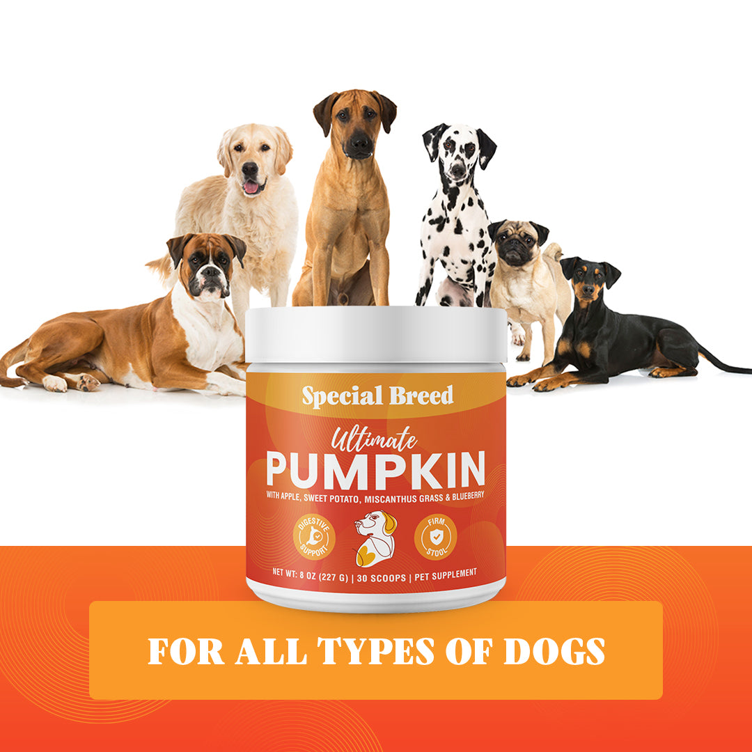 Ultimate Pumpkin 8oz