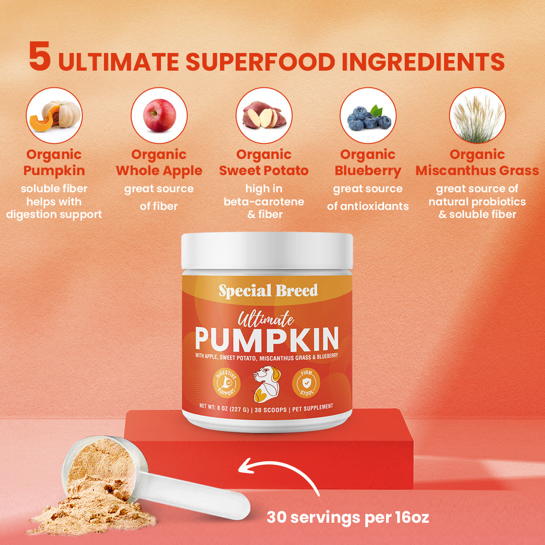 Ultimate Pumpkin 8oz