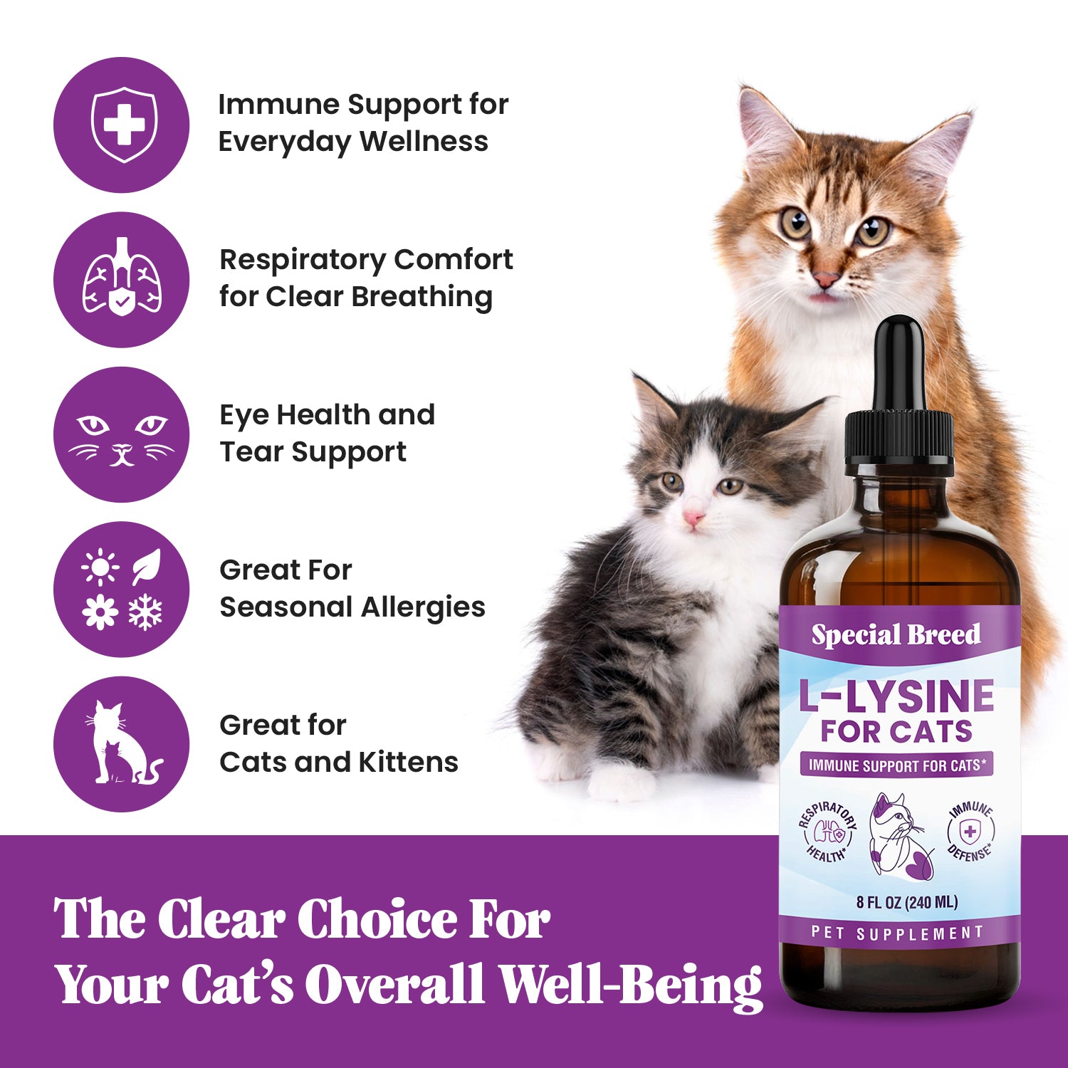 Lysine 8oz