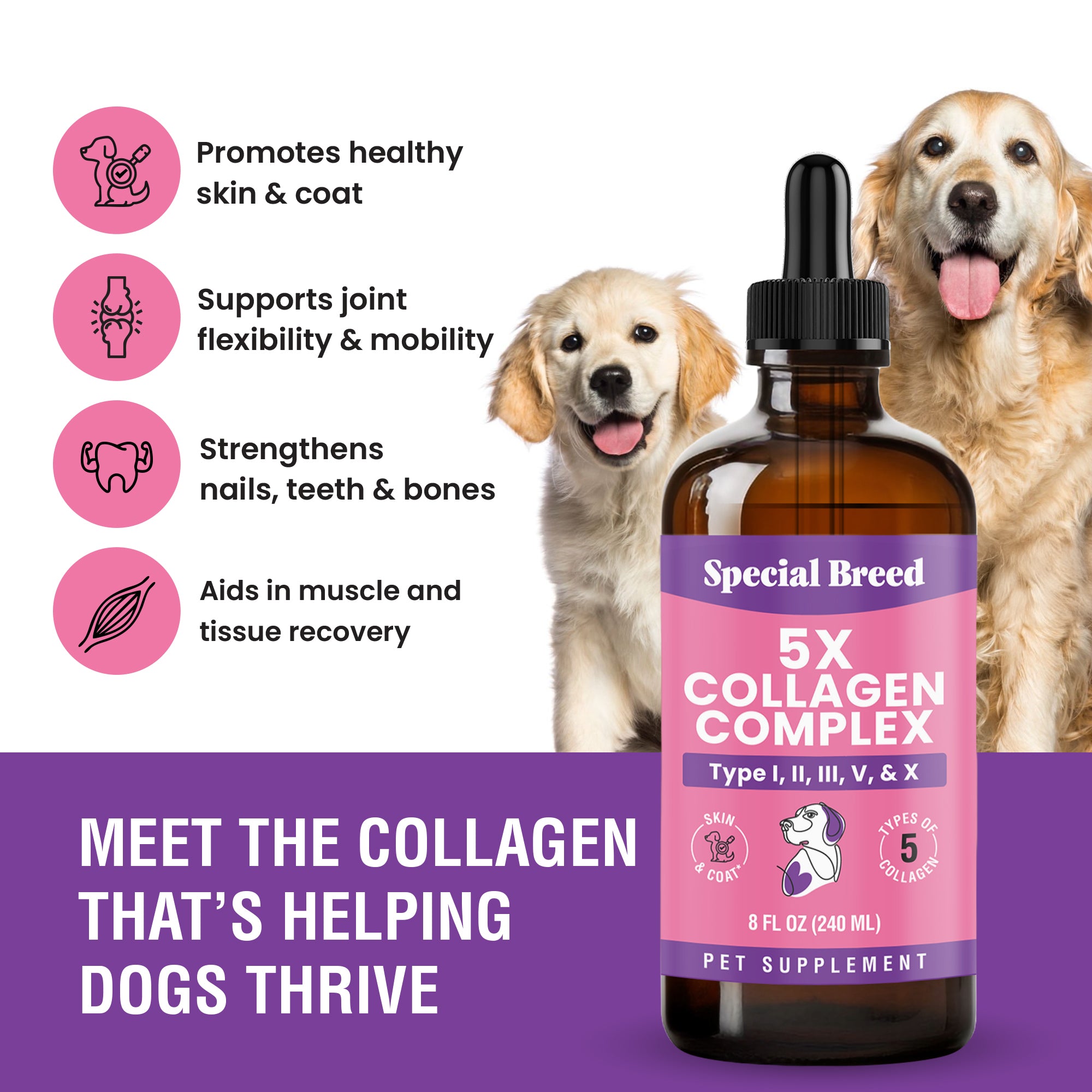 Collagen 8oz