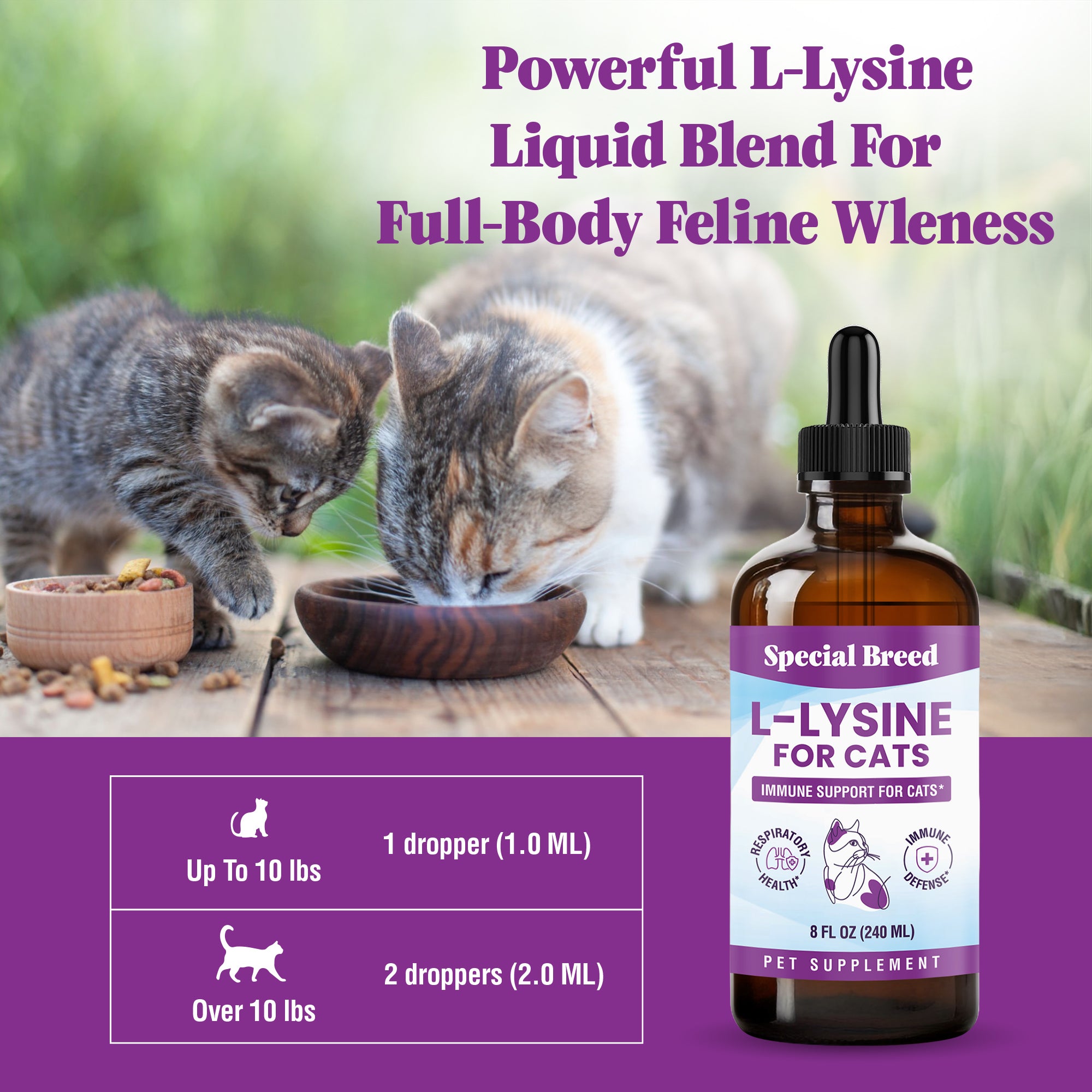 Lysine 8oz
