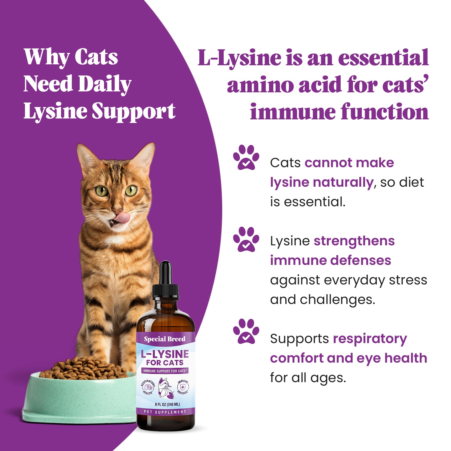 Lysine 8oz