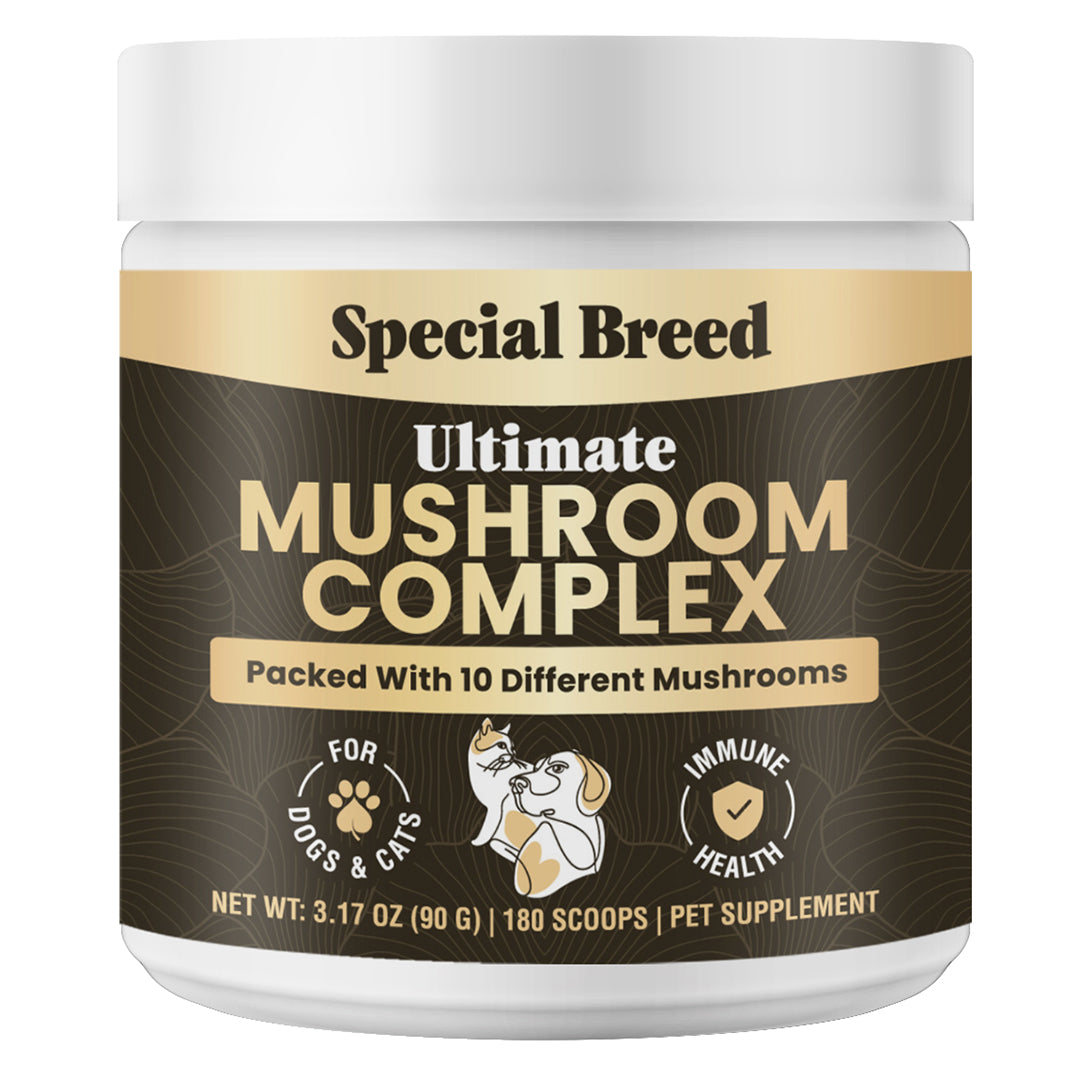 Mushroom Complex For Dogs & Cat 90g