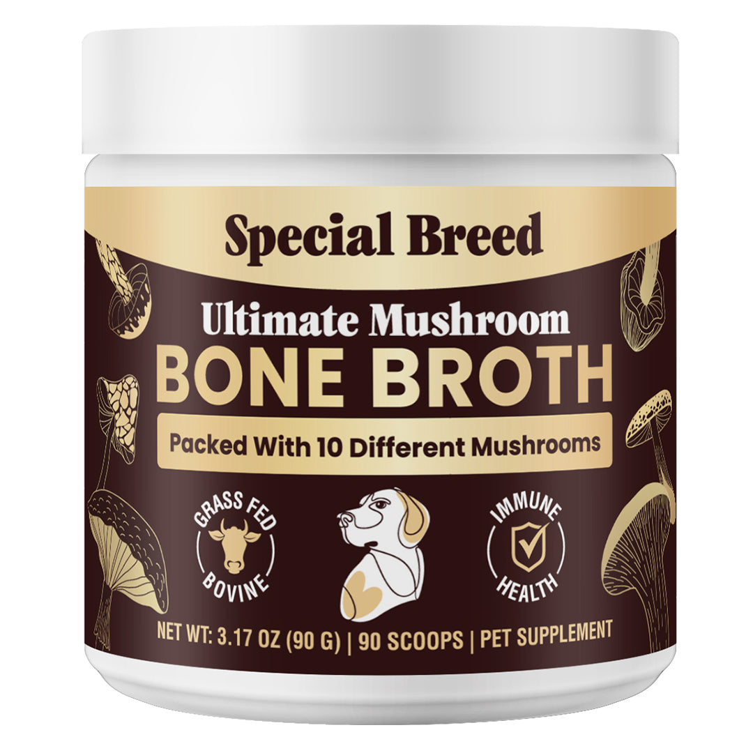 Mushroom Bone Broth For Dogs 90g