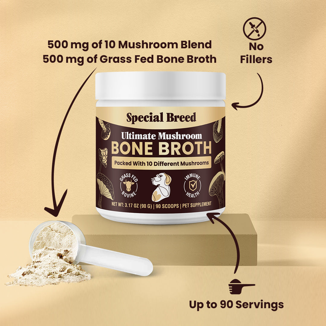 Mushroom Bone Broth For Dogs 90g