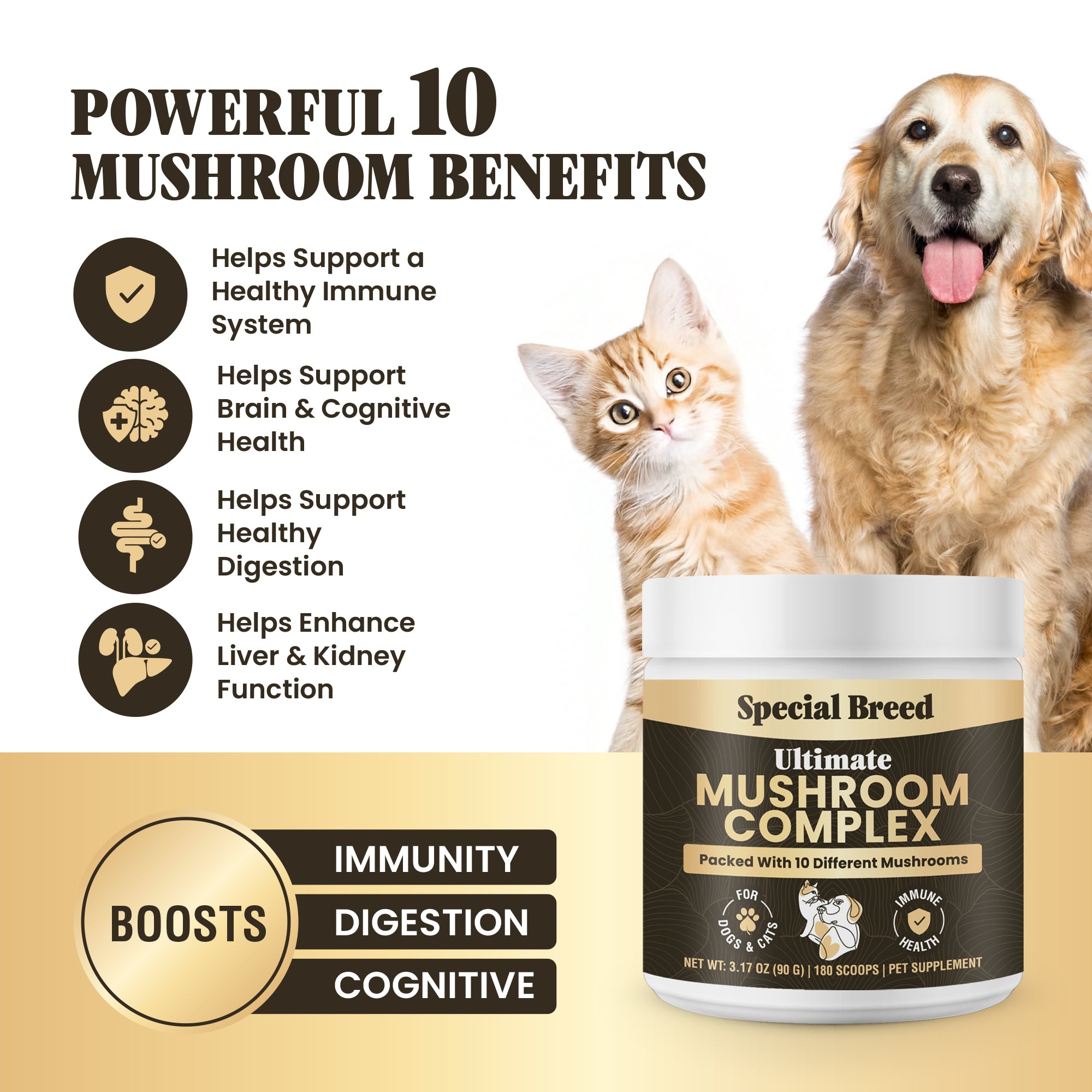 Mushroom Complex For Dogs & Cat 90g