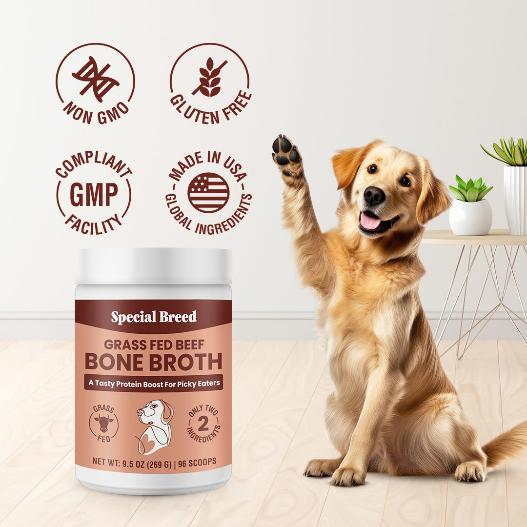 Bone Broth Powder 9.5oz Special Breed