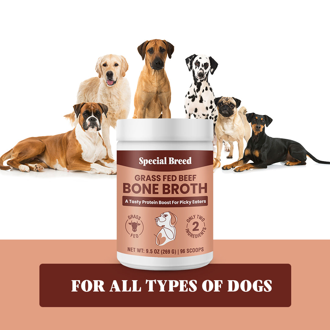 Shops bone marrow powder for dogs