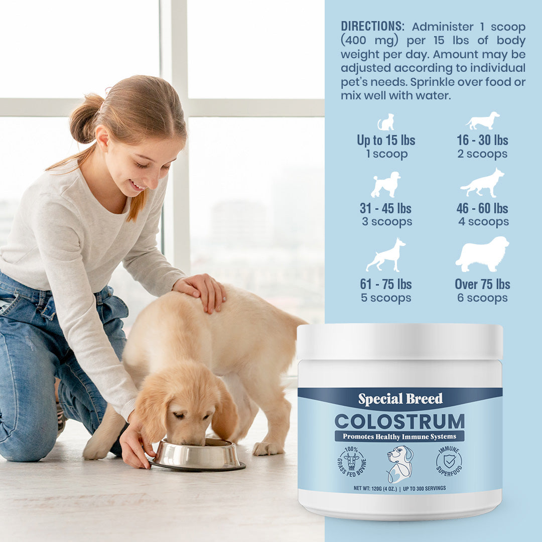 Colostrum Powder - 120g