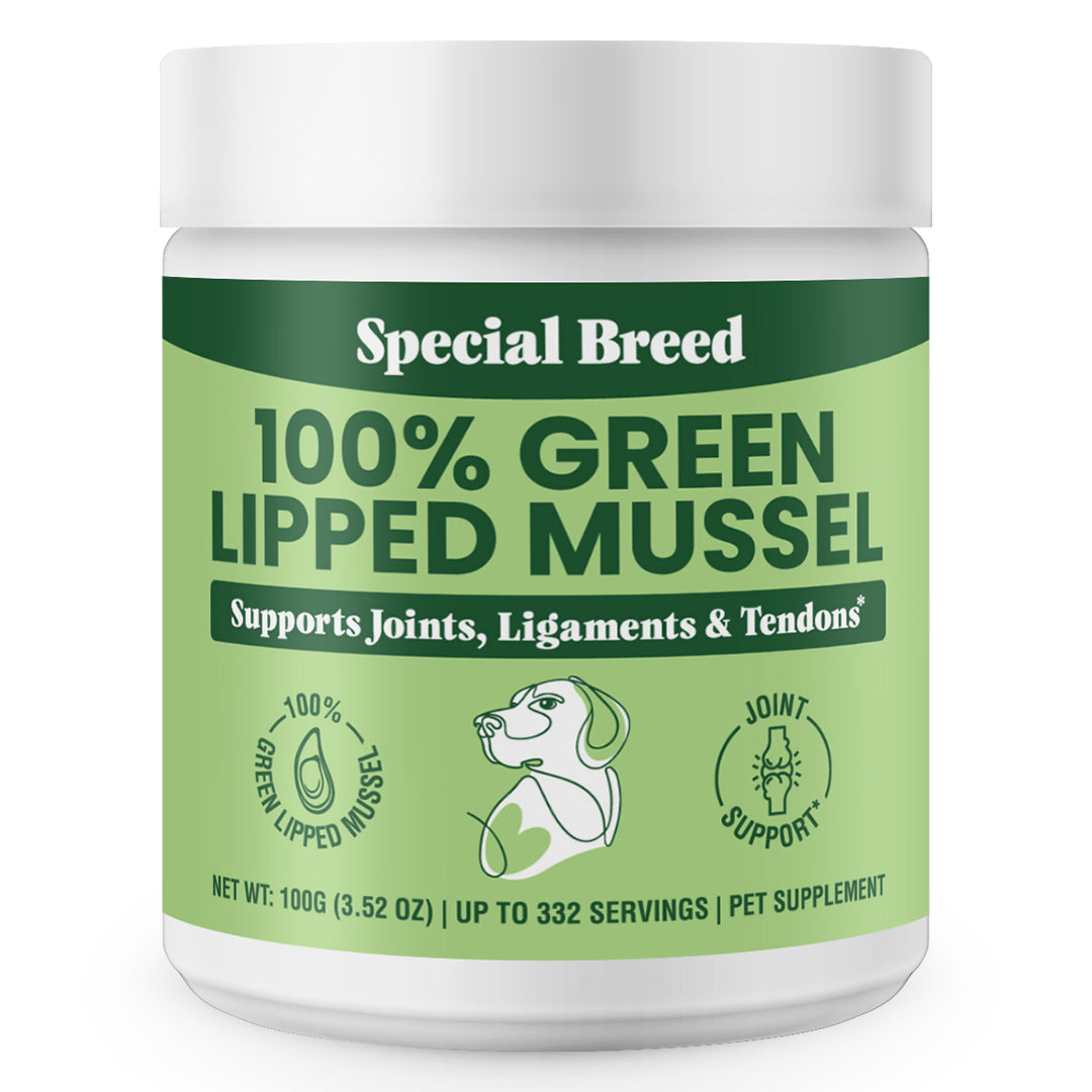 Green Lipped Mussel Powder - 100g