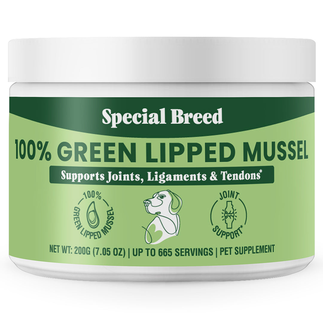 Green Lipped Mussel Powder - 200g